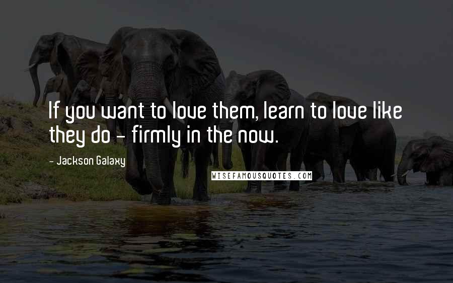 Jackson Galaxy quotes: If you want to love them, learn to love like they do - firmly in the now.
