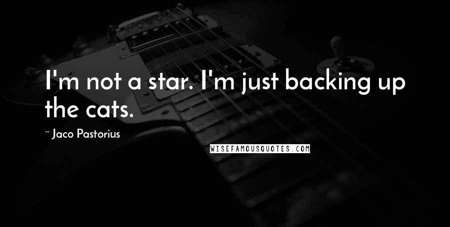 Jaco Pastorius quotes: I'm not a star. I'm just backing up the cats.