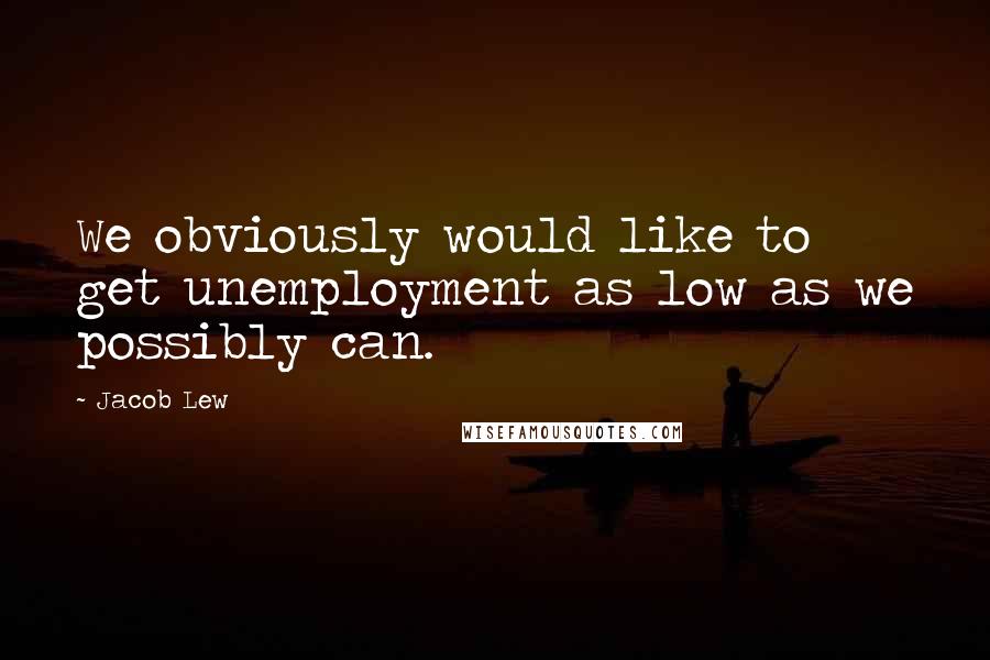 Jacob Lew quotes: We obviously would like to get unemployment as low as we possibly can.