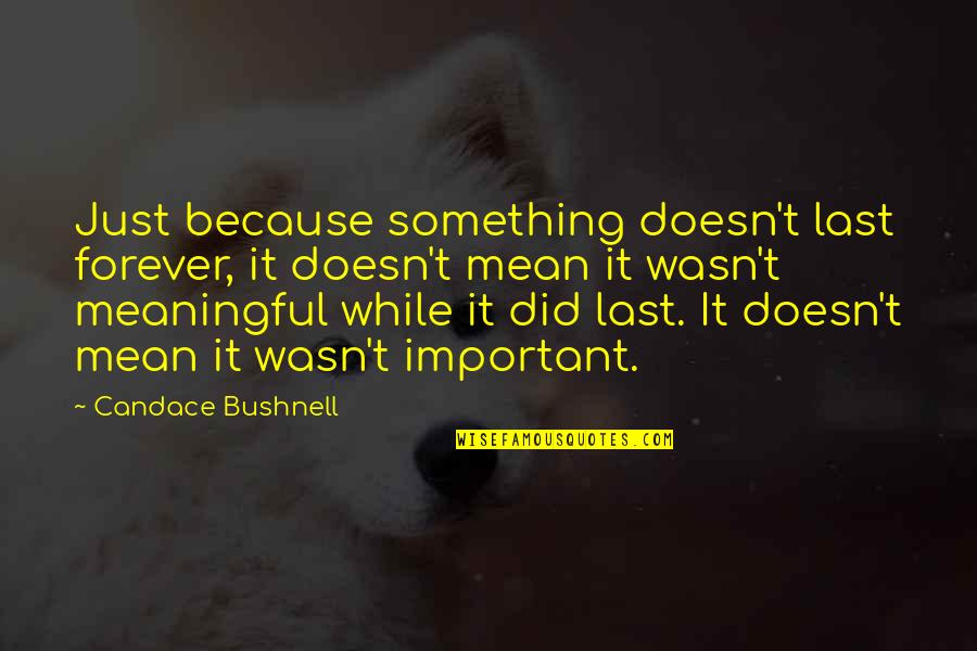 Jacobovici 2020 Quotes By Candace Bushnell: Just because something doesn't last forever, it doesn't