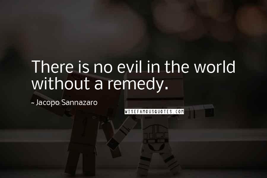 Jacopo Sannazaro quotes: There is no evil in the world without a remedy.