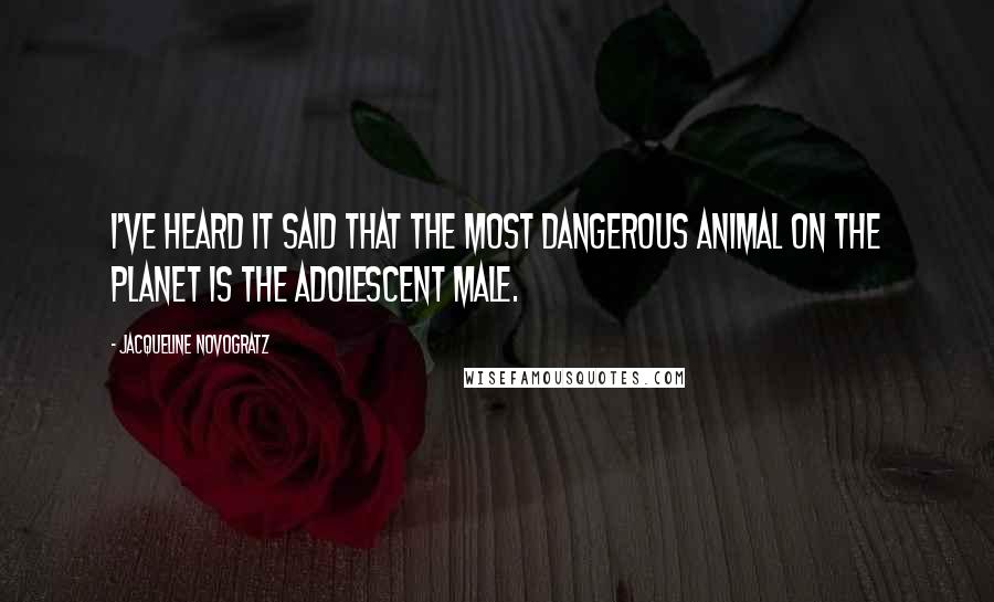 Jacqueline Novogratz quotes: I've heard it said that the most dangerous animal on the planet is the adolescent male.