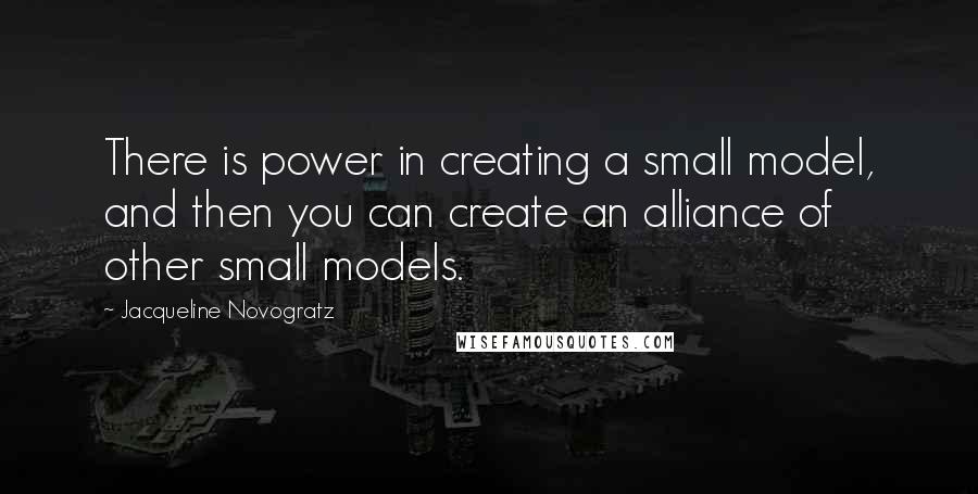 Jacqueline Novogratz quotes: There is power in creating a small model, and then you can create an alliance of other small models. Jacqueline Novogratz quotes: There is power in creating a small model, and then you can create an alliance of other small models.