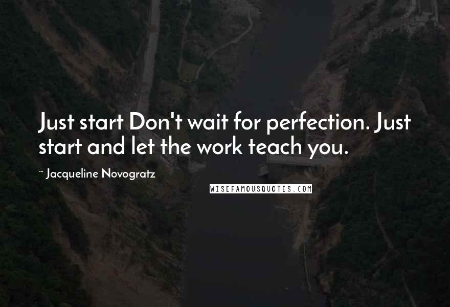 Jacqueline Novogratz quotes: Just start Don't wait for perfection. Just start and let the work teach you.