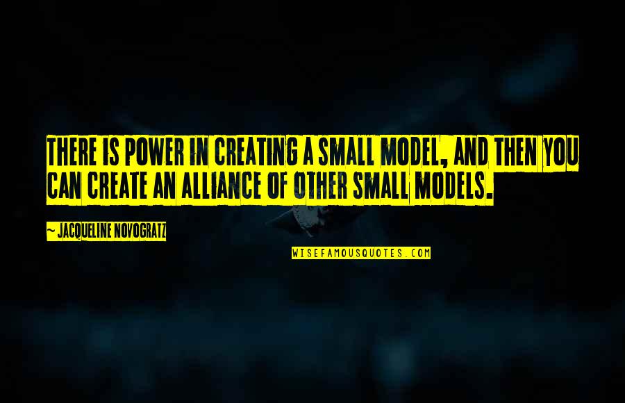 Jacqueline Novogratz Quotes By Jacqueline Novogratz: There is power in creating a small model,