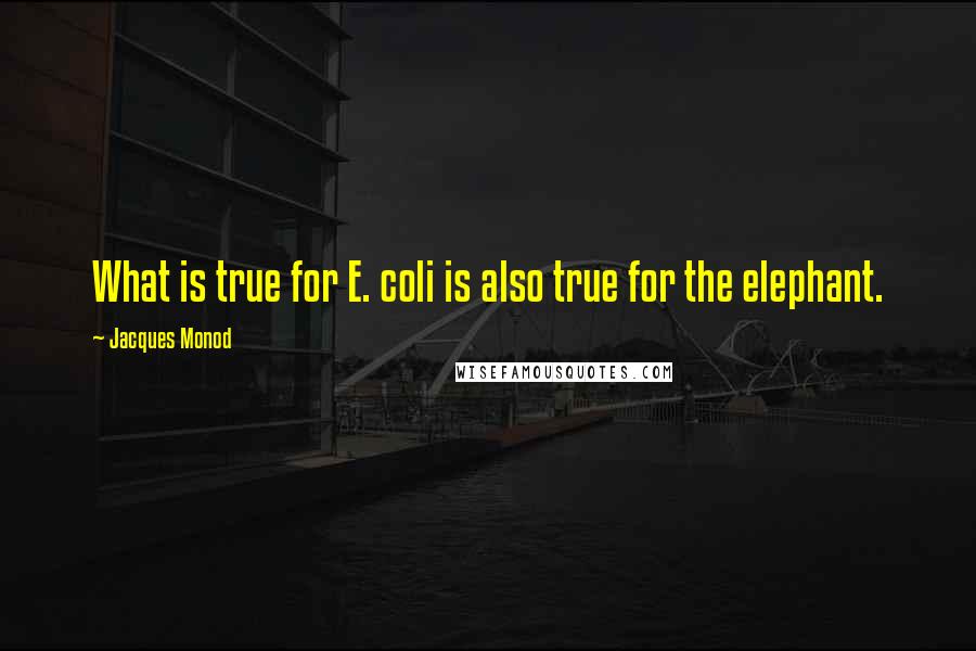 Jacques Monod quotes: What is true for E. coli is also true for the elephant.