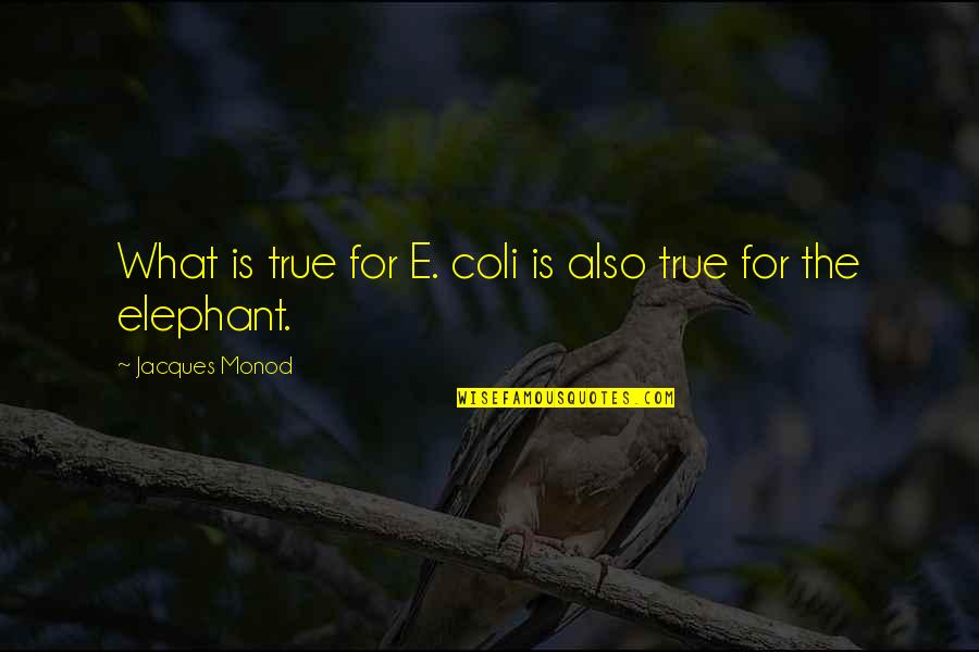 Jacques Monod Quotes By Jacques Monod: What is true for E. coli is also