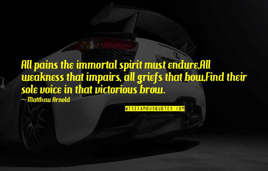 Jacqulyn Elizabeth Quotes By Matthew Arnold: All pains the immortal spirit must endure,All weakness