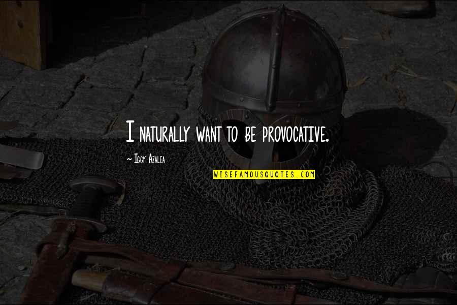Jacto Inc Quotes By Iggy Azalea: I naturally want to be provocative.