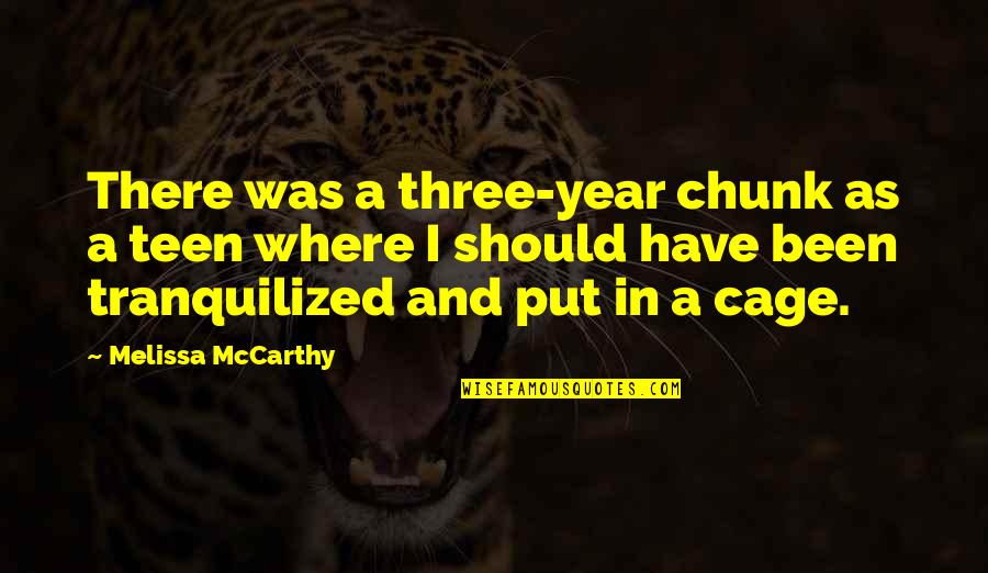 Jagalah Wanitamu Quotes By Melissa McCarthy: There was a three-year chunk as a teen Jagalah Wanitamu Quotes By Melissa McCarthy: There was a three-year chunk as a teen