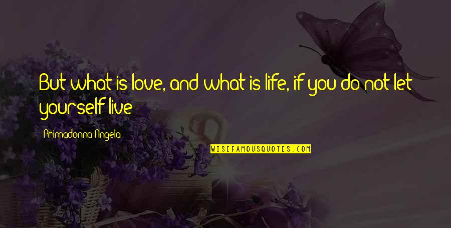 Jagdip Amin Quotes By Primadonna Angela: But what is love, and what is life,