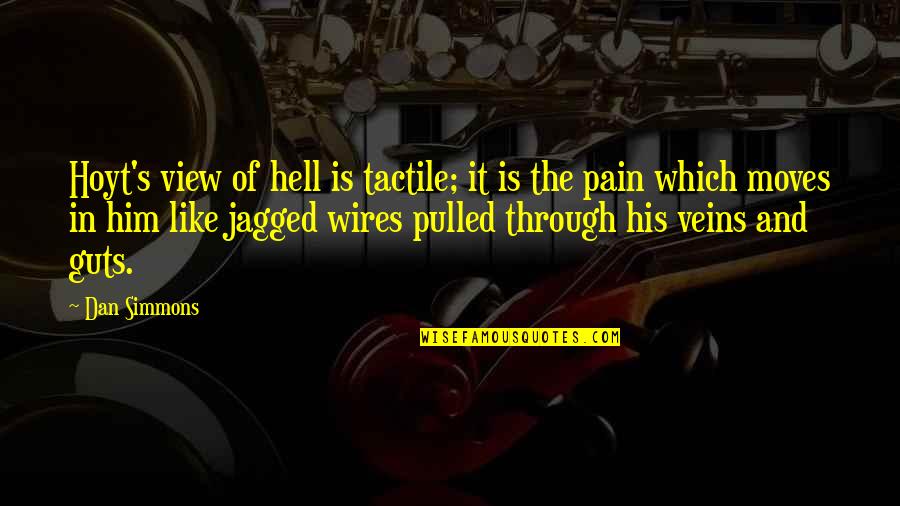 Jagged Quotes By Dan Simmons: Hoyt's view of hell is tactile; it is