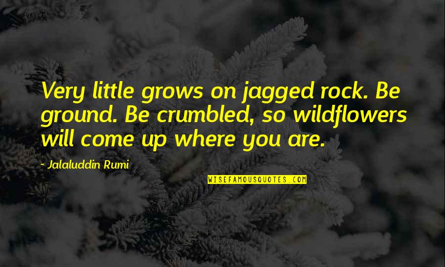 Jagged Quotes By Jalaluddin Rumi: Very little grows on jagged rock. Be ground.