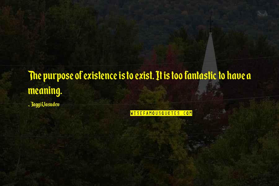 Jaggi Quotes By Jaggi Vasudev: The purpose of existence is to exist. It