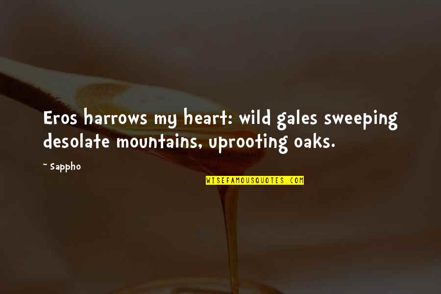 Jahiliah Dan Quotes By Sappho: Eros harrows my heart: wild gales sweeping desolate