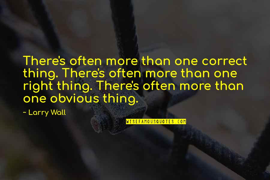 Jahrling Ocularist Quotes By Larry Wall: There's often more than one correct thing. There's