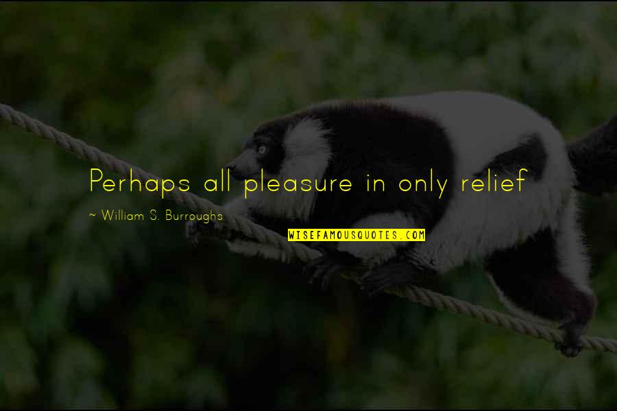 Jaida Quotes By William S. Burroughs: Perhaps all pleasure in only relief