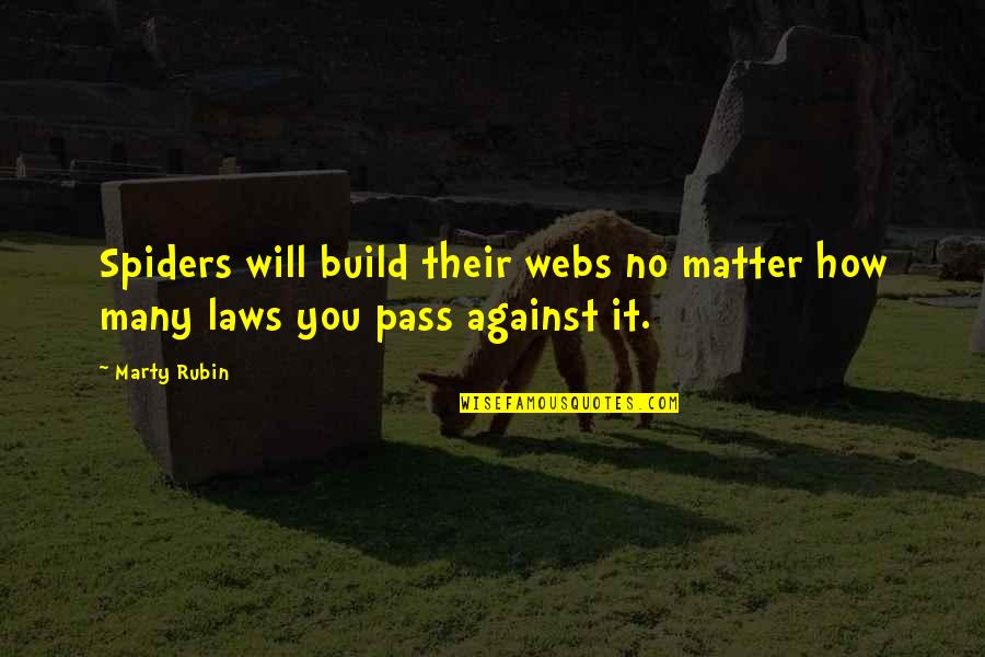 Jail And Friends Quotes By Marty Rubin: Spiders will build their webs no matter how