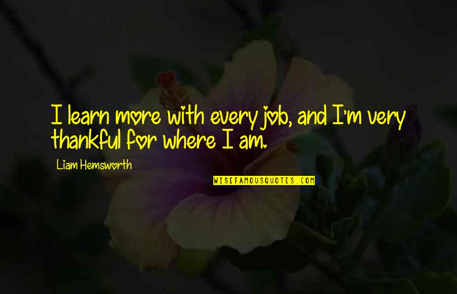 Jail Prison Quotes By Liam Hemsworth: I learn more with every job, and I'm