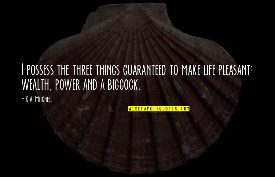 Jailbird's Quotes By K.A. Mitchell: I possess the three things guaranteed to make