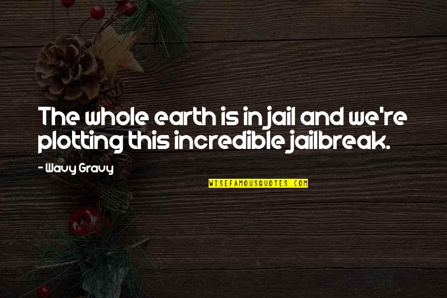 Jailbreak Quotes By Wavy Gravy: The whole earth is in jail and we're