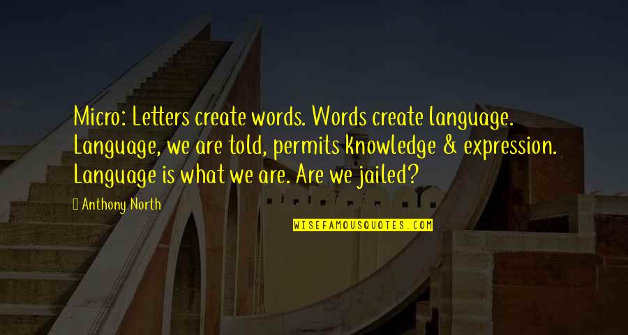 Jailed Quotes By Anthony North: Micro: Letters create words. Words create language. Language,