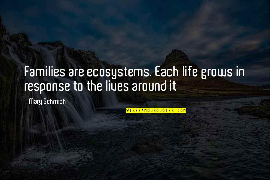 Jaillen Quotes By Mary Schmich: Families are ecosystems. Each life grows in response