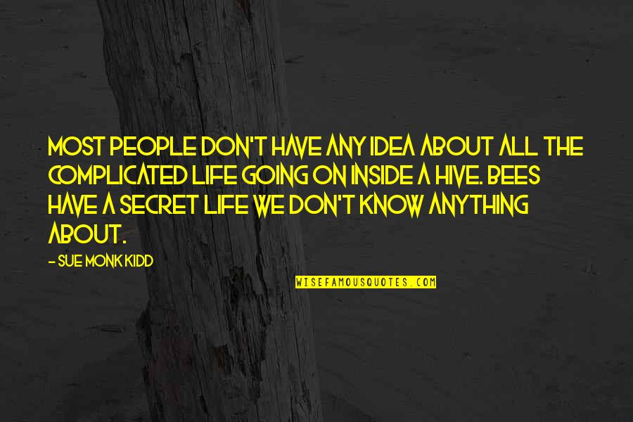 Jaja Vankova Quotes By Sue Monk Kidd: Most people don't have any idea about all Jaja Vankova Quotes By Sue Monk Kidd: Most people don't have any idea about all