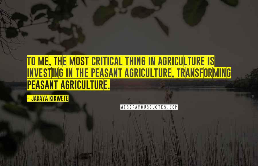 Jakaya Kikwete quotes: To me, the most critical thing in agriculture is investing in the peasant agriculture, transforming peasant agriculture. Jakaya Kikwete quotes: To me, the most critical thing in agriculture is investing in the peasant agriculture, transforming peasant agriculture.