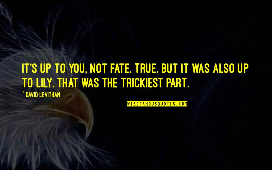 Jake Blues Brothers Quotes By David Levithan: It's up to you, not fate. True. But
