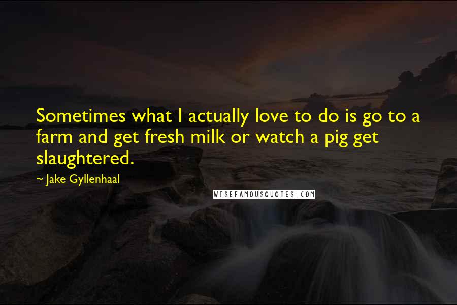 Jake Gyllenhaal quotes: Sometimes what I actually love to do is go to a farm and get fresh milk or watch a pig get slaughtered.