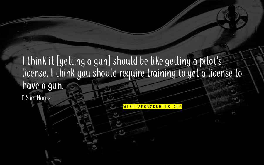 Jakost Povrchu Quotes By Sam Harris: I think it [getting a gun] should be