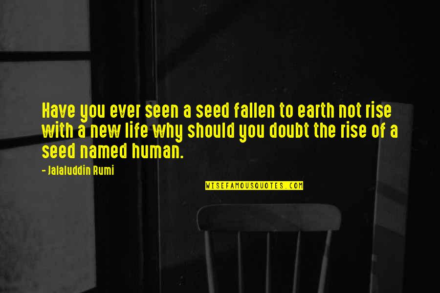 Jalaluddin Quotes By Jalaluddin Rumi: Have you ever seen a seed fallen to