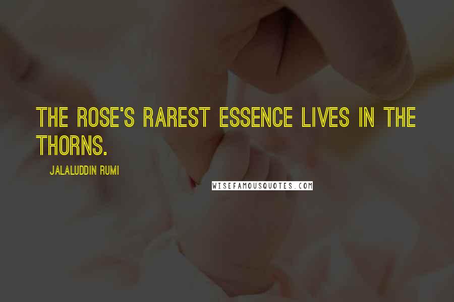 Jalaluddin Rumi quotes: The rose's rarest essence lives in the thorns.