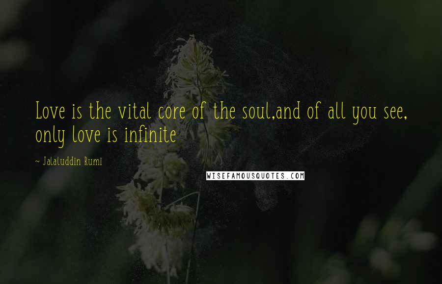 Jalaluddin Rumi quotes: Love is the vital core of the soul,and of all you see, only love is infinite