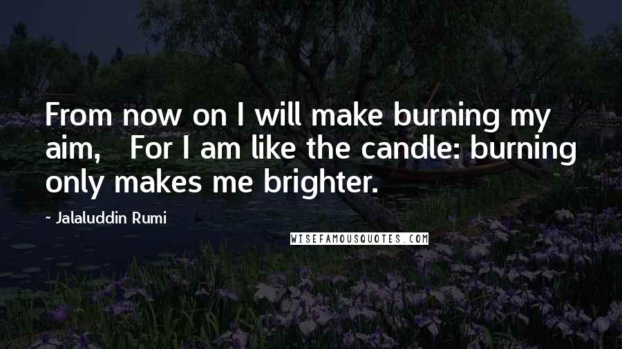 Jalaluddin Rumi quotes: From now on I will make burning my aim, For I am like the candle: burning only makes me brighter.