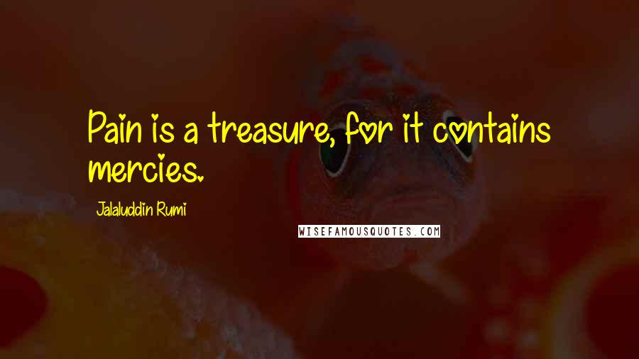 Jalaluddin Rumi quotes: Pain is a treasure, for it contains mercies.