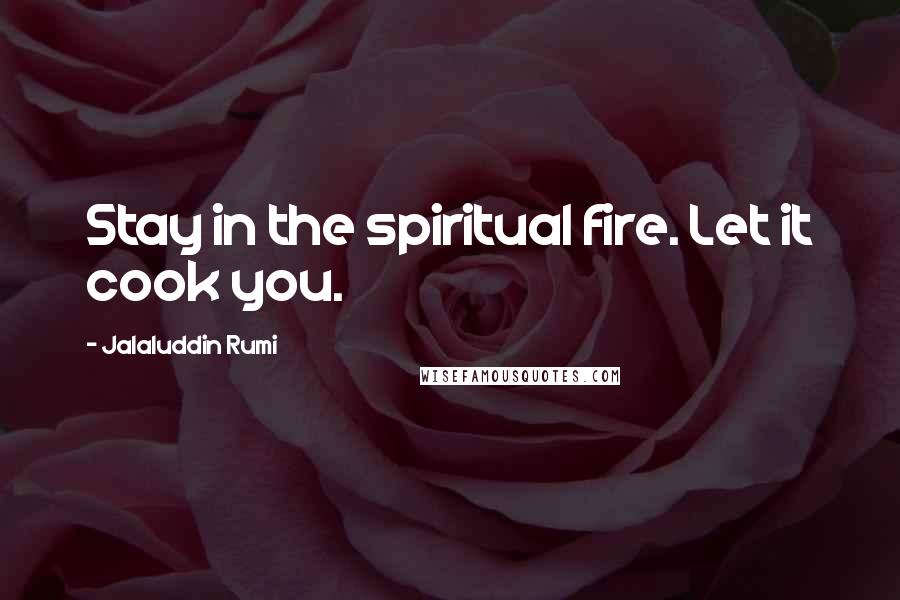 Jalaluddin Rumi quotes: Stay in the spiritual fire. Let it cook you.