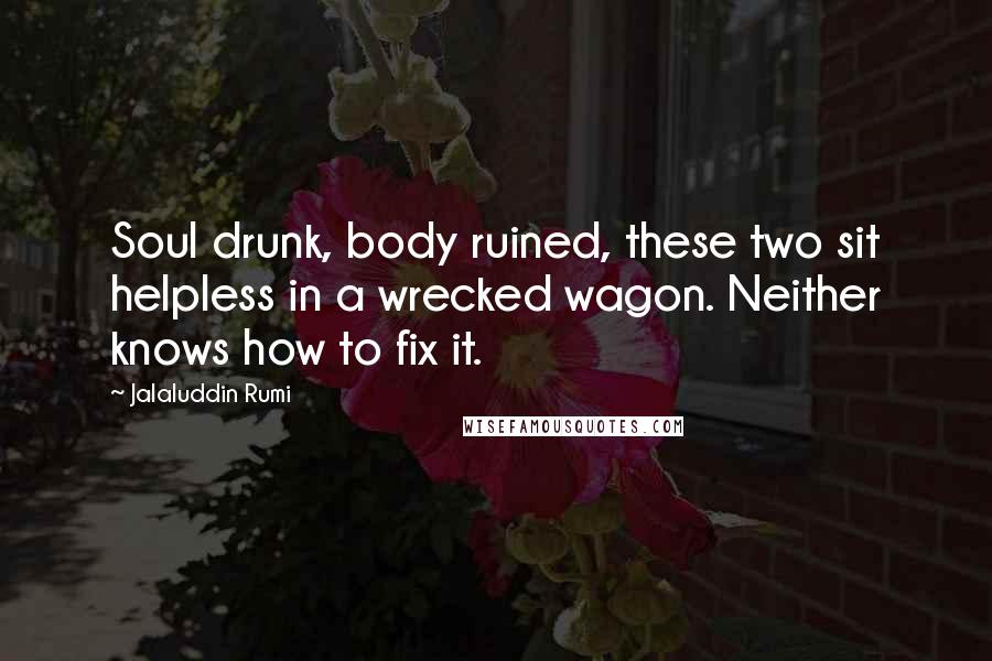 Jalaluddin Rumi quotes: Soul drunk, body ruined, these two sit helpless in a wrecked wagon. Neither knows how to fix it.