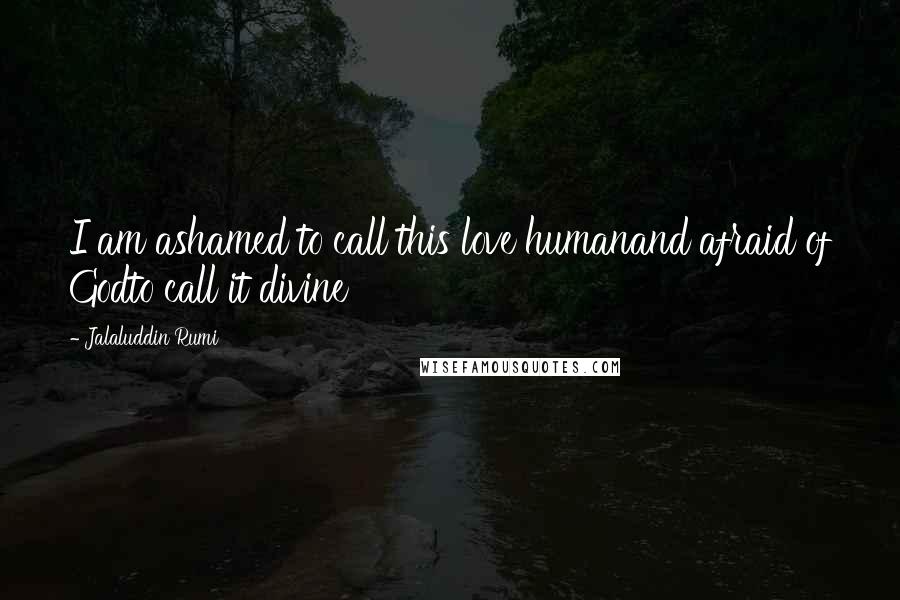 Jalaluddin Rumi quotes: I am ashamed to call this love humanand afraid of Godto call it divine