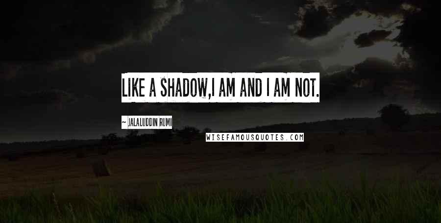 Jalaluddin Rumi quotes: Like a shadow,I am and I am not.