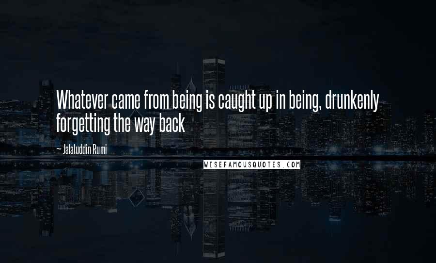 Jalaluddin Rumi quotes: Whatever came from being is caught up in being, drunkenly forgetting the way back