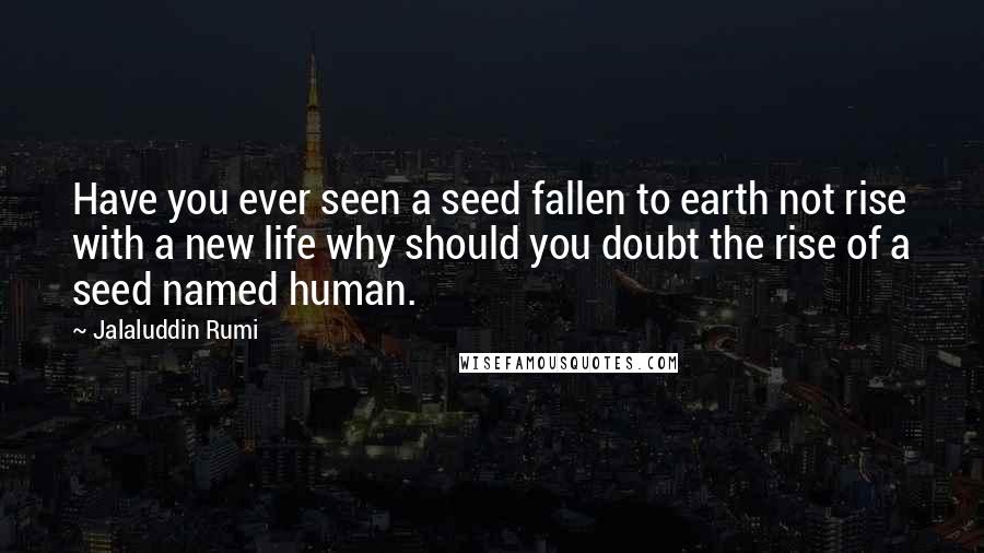 Jalaluddin Rumi quotes: Have you ever seen a seed fallen to earth not rise with a new life why should you doubt the rise of a seed named human.
