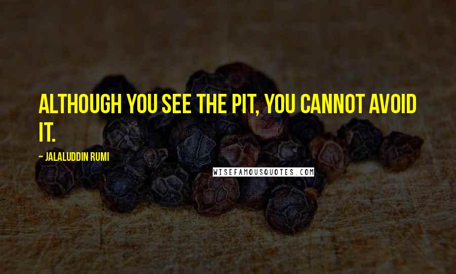Jalaluddin Rumi quotes: Although you see the pit, you cannot avoid it.