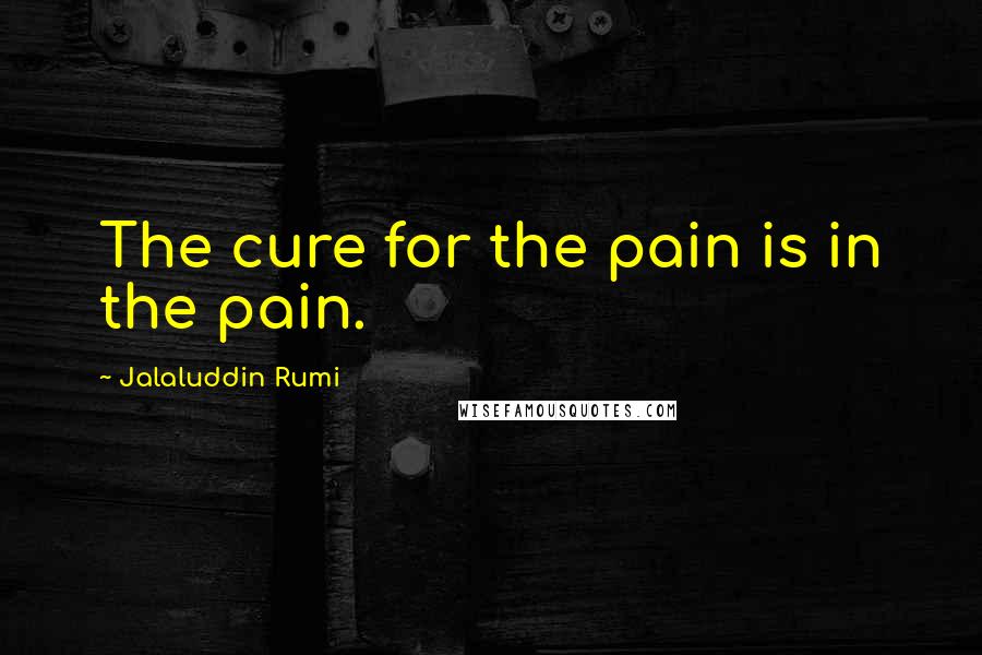 Jalaluddin Rumi quotes: The cure for the pain is in the pain.
