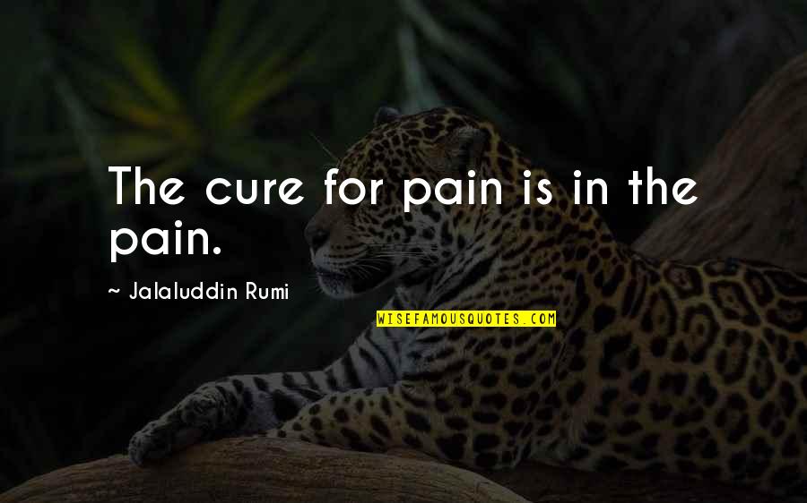 Jalaluddin Rumi Quotes By Jalaluddin Rumi: The cure for pain is in the pain.