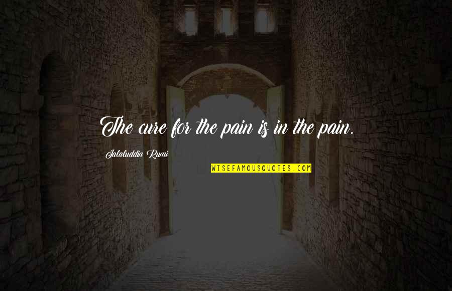 Jalaluddin Rumi Quotes By Jalaluddin Rumi: The cure for the pain is in the