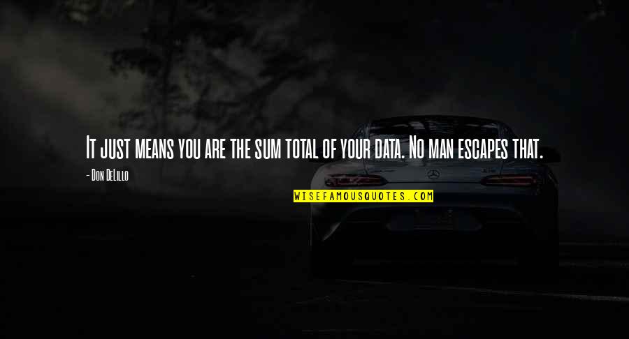 Jaleh Queen Quotes By Don DeLillo: It just means you are the sum total
