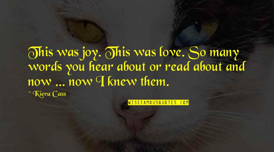 Jallais Google Quotes By Kiera Cass: This was joy. This was love. So many Jallais Google Quotes By Kiera Cass: This was joy. This was love. So many