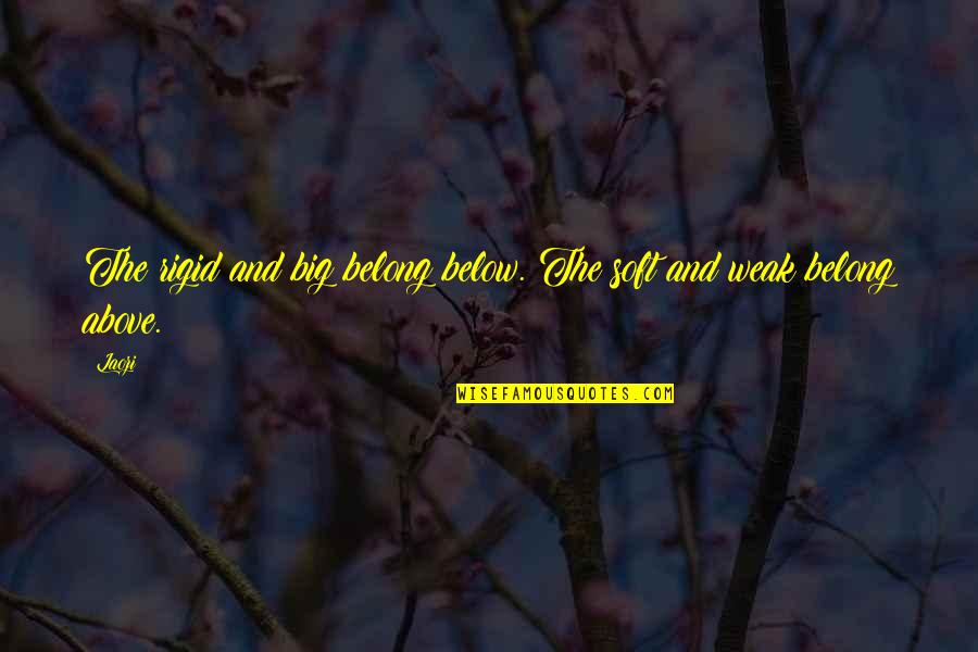 Jalongo Textbook Quotes By Laozi: The rigid and big belong below. The soft